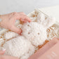 Signature Baby Girl Box