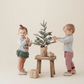 Baby Boy Christmas Box